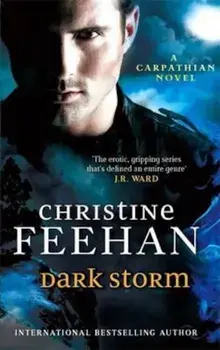 Dark Storm, Paperback/Christine Feehan