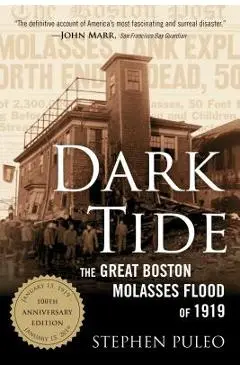 Dark Tide: The Great Boston Molasses Flood of 1919 - Stephen Puleo