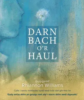 Darn Bach o'r Haul, Paperback/***