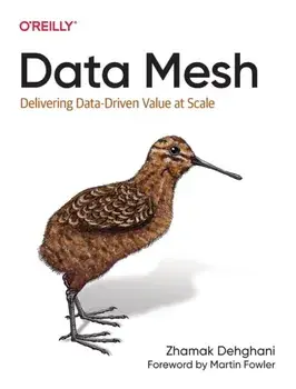 Data Mesh. Delivering Data-Driven Value at Scale, Paperback/Zhamak Dehghani