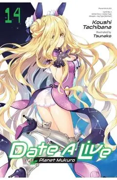Date a Live, Vol. 14 (Light Novel) - Koushi Tachibana