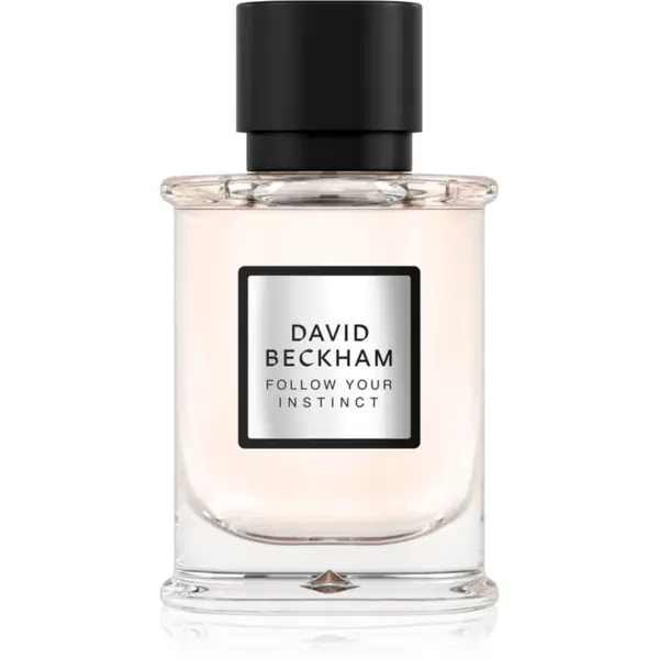 David Beckham Follow Your Instinct Eau de Parfum pentru bărbați 50 ml