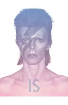 David Bowie Is -