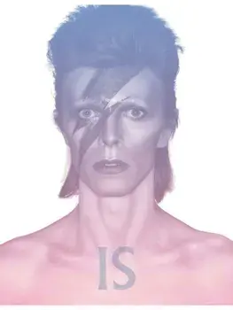 David Bowie Is, Paperback/***