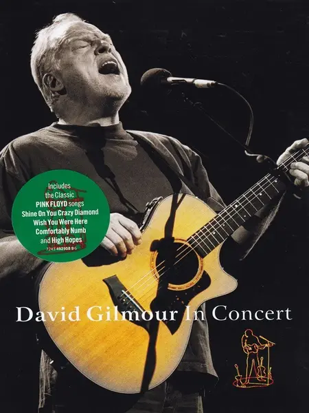 David Gilmour In Concert | David Gilmour