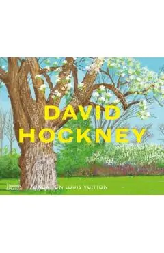 David Hockney - Norman Rosenthal
