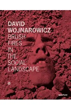 David Wojnarowicz: Brush Fires in the Social Landscape: Twentieth Anniversary Edition - David Wojnarowicz