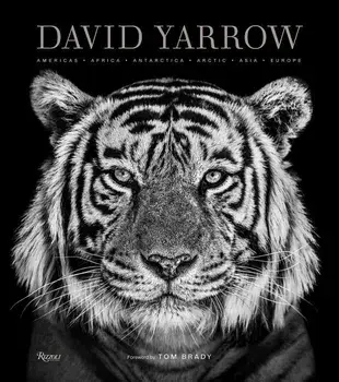 David Yarrow Photography: Americas Africa Antarctica Arctic Asia Europe, Hardcover/David Yarrow