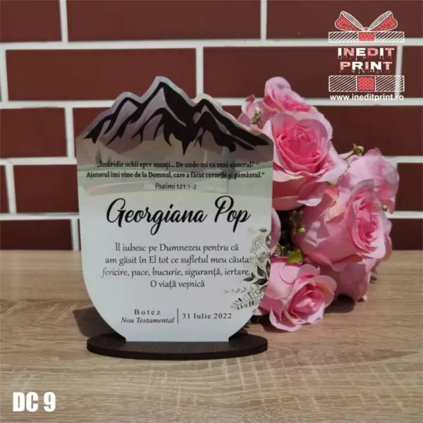 Decoratiune Botez DC9 17x11cm