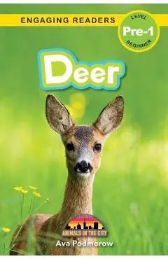 Deer: Animals in the City (Engaging Readers, Level Pre-1) - Ava Podmorow