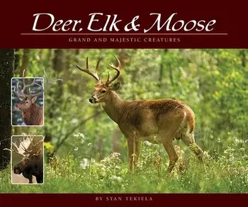 Deer, Elk & Moose: Grand and Majestic Creatures, Paperback/Stan Tekiela