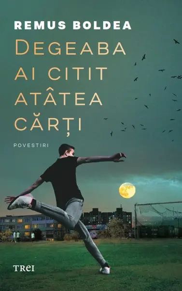 Degeaba ai citit atâtea cărți - Remus Boldea