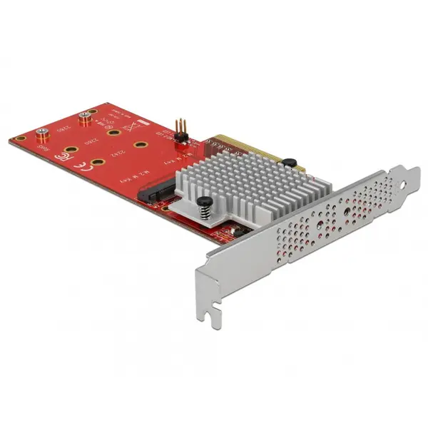 Delock PCI Express cu 2 porturi interne NVMe M.2 Key M LPFF, Delock 90305