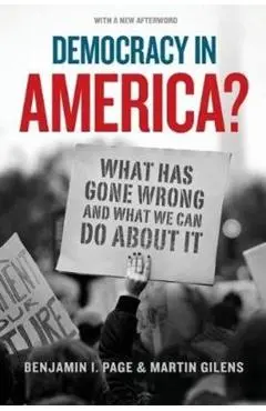 Democracy in America?: What Has Gone Wrong and What We Can Do about It - Benjamin I. Page