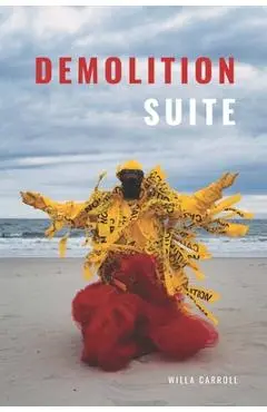 Demolition Suite - Willa Carroll