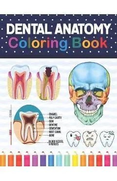 Dental Anatomy Coloring Book: Learn the Basics of Dental Anatomy. Dental Anatomy Coloring Book for Cute Children's, Kids, Boys, Girls, Dental Assist - Samniczell Publication