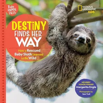 Destiny Finds Her Way, Hardback/***