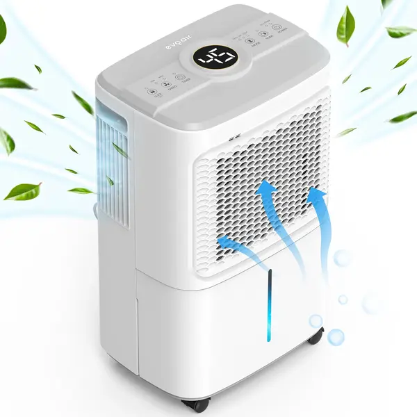 - Dezumidificator Evoair Dryora 10, 10l/24h, Senzor de Umiditate, Dezumidifcare Continua, Uscare Rufe, Lumina Ambientala, Rezervor 1.6l, Alb