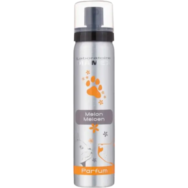 Diamex Melon parfum - 100 ml