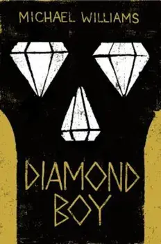 Diamond Boy, Paperback/Michael Williams