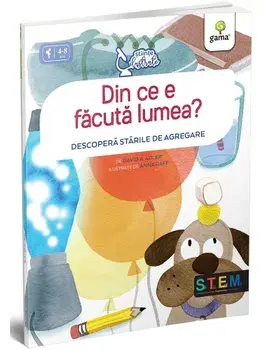 Din ce e facuta lumea? Descopera starile de agregare/David A. Adler