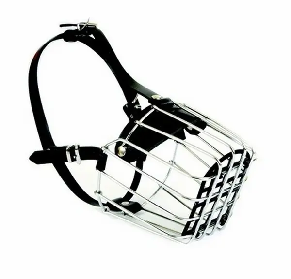 Dingo Botnita Metal Caucazian Nr 9A