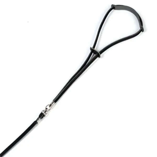 Dingo Lesa Prezentare 8 mm Maro