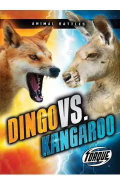 Dingo vs. Kangaroo - Kieran Downs