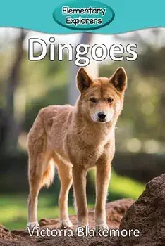 Dingoes, Paperback/Victoria Blakemore