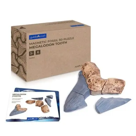 Dinte Megalodon, set magnetic 3D, Guidecraft