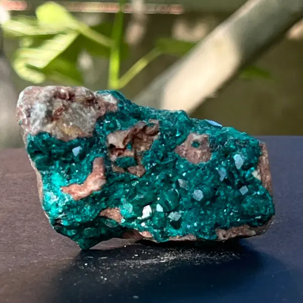 Dioptaz cluster din Congo model 16