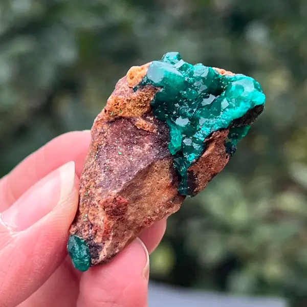 Dioptaz cluster din Congo model 23