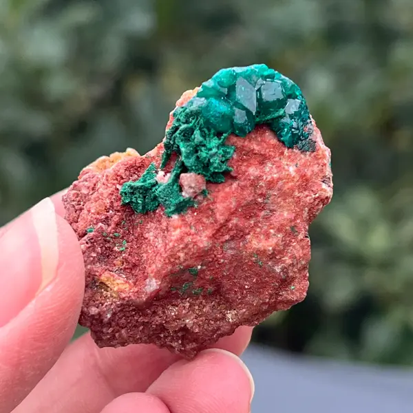 Dioptaz cluster din Congo model 27