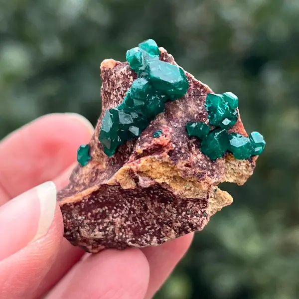 Dioptaz cluster din Congo model 30