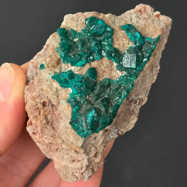 Dioptaz cluster din Congo model 7