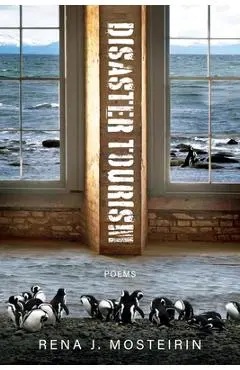 Disaster Tourism - Rena J. Mosteirin