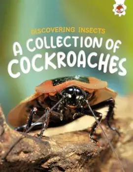 Discovering Insects: A Collection of Cockroaches, Paperback/Rebecca Storm
