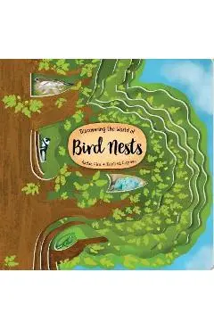 Discovering the World of Bird Nests - Radka Piro