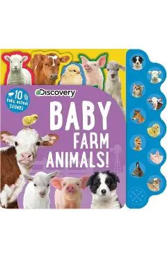 Discovery: Baby Farm Animals! - Thea Feldman