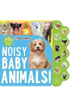Discovery: Noisy Baby Animals! - Editors Of Silver Dolphin Books