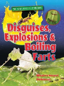 Disguises, Explosions and Boiling Farts, Paperback/Ruth Owen