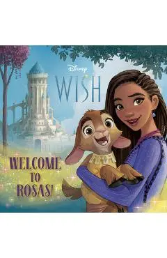 Disney Wish Pictureback - Random House Disney