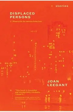Displaced Persons: Stories - Joan Leegant