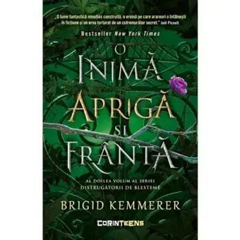 Distrugatorii de blesteme. O inima apriga si franta. Volumul 2/Brigid Kemmerer