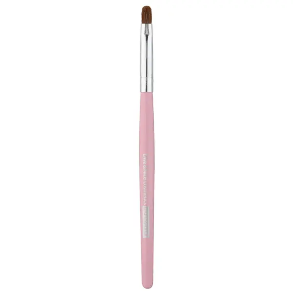 Diva & Nice Cosmetics Accessories Brush pensula pentru buze MAX 491/5 1 buc