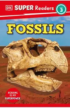 DK Super Readers Level 3 Fossils - Dk