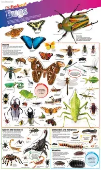 DKfindout! Bugs Poster/***