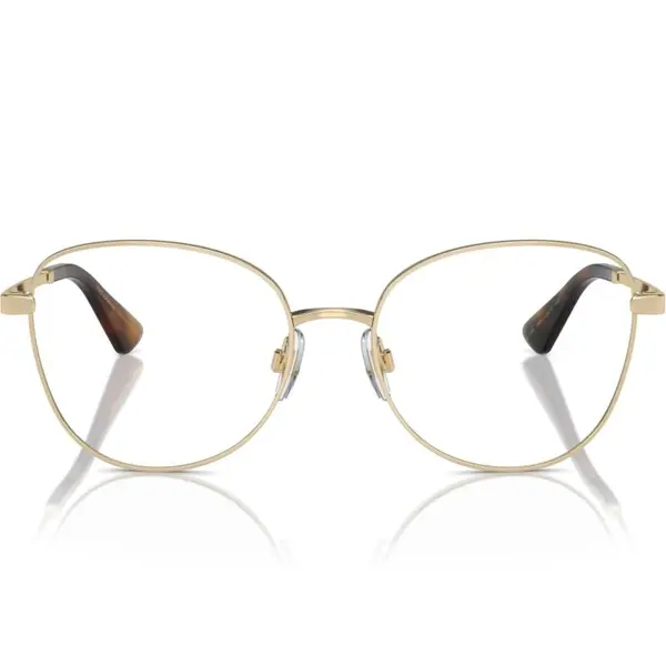 Dolce&Gabbana DG1355 1365 55
