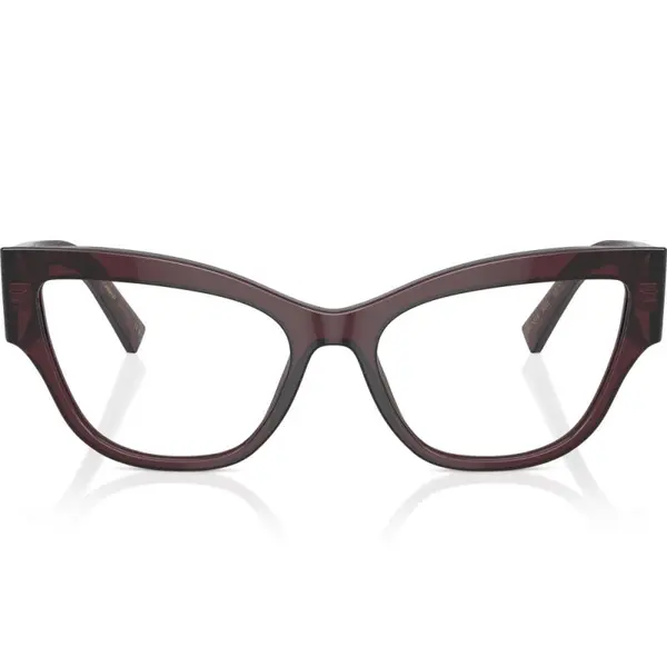 Dolce&Gabbana DG3378 3045 55