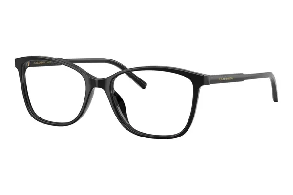 Dolce & Gabbana DG3424 501